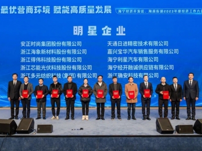 太阳GG科技荣获明星企业、慈善之星先进单位